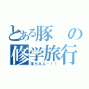 とある豚の修学旅行（落ちるぶ〜！！）