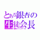 とある銀杏の生徒会長（変則ツインテール）