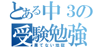 とある中３の受験勉強（果てない地獄）