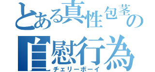 とある真性包茎の自慰行為（チェリーボーイ）