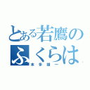 とある若鷹のふくらはぎ（本多雄一）