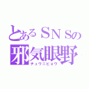 とあるＳＮＳの邪気眼野郎（チュウニビョウ）