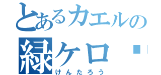 とあるカエルの緑ケロ〜（けんたろう）