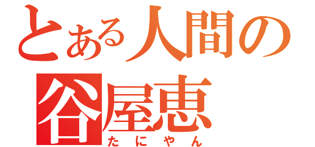 とある人間の谷屋恵（たにやん）