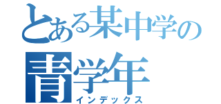 とある某中学の青学年（インデックス）