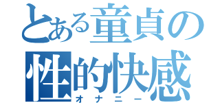 とある童貞の性的快感（オナニー）