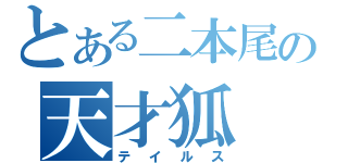 とある二本尾の天才狐（テイルス）