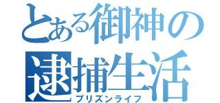 とある御神の逮捕生活（プリズンライフ）