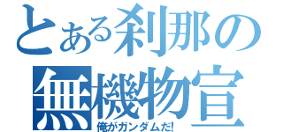 とある刹那の無機物宣言（俺がガンダムだ！）