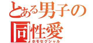 とある男子の同性愛（ホモセクシャル）