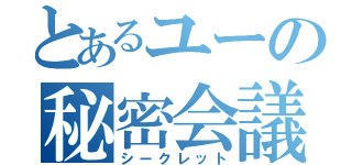 とあるユーの秘密会議（シークレット）