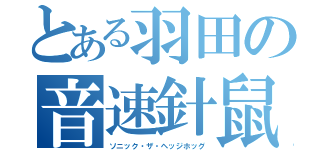 とある羽田の音速針鼠（ソニック・ザ・ヘッジホッグ）