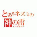 とあるネズミの神の雷（１０万ボルト）