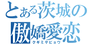 とある茨城の傲嬌愛恋（クギミヤビョウ）