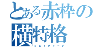 とある赤枠の横特格（２ ６ ５ ダ メ ー ジ）