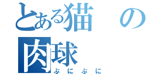 とある猫の肉球（ぷにぷに）