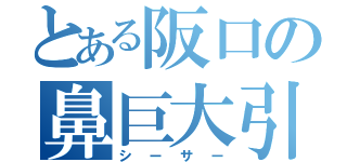 とある阪口の鼻巨大引（シーサー）