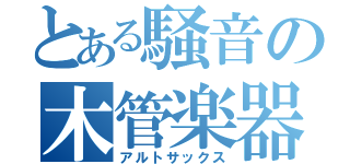 とある騒音の木管楽器（アルトサックス）