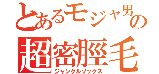 とあるモジャ男子の超密脛毛（ジャングルソックス）