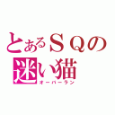 とあるＳＱの迷い猫（オーバーラン）