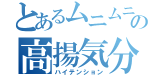 とあるムニムニの高揚気分（ハイテンション）