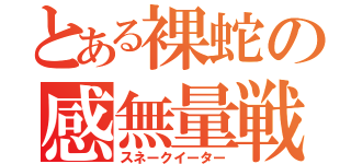 とある裸蛇の感無量戦（スネークイーター）