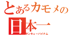 とあるカモメの日本一（サンキューバイナム）