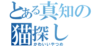 とある真知の猫探し（かわいいやつめ）