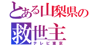 とある山梨県の救世主（テレビ東京）