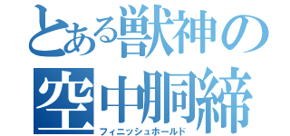 とある獣神の空中胴締め落とし（フィニッシュホールド）