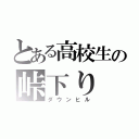 とある高校生の峠下り（ダウンヒル）