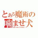 とある魔術の噛ませ犬（ステイル＝マグヌス）