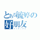 とある毓婷の好朋友（インデックス）