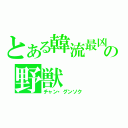 とある韓流最凶の野獣（チャン・グンソク）