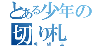 とある少年の切り札（希望王）