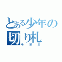 とある少年の切り札（希望王）