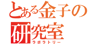 とある金子の研究室（ラボラトリー）