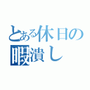 とある休日の暇潰し（）