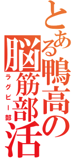 とある鴨高の脳筋部活（ラグビー部）