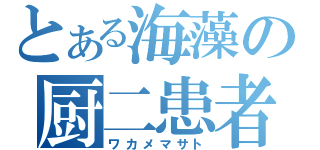 とある海藻の厨二患者（ワカメマサト）