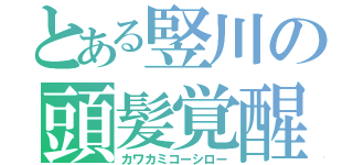 とある竪川の頭髪覚醒（カワカミコーシロー）