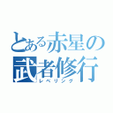 とある赤星の武者修行（レベリング）