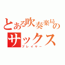 とある吹奏楽局のサックス奏者（プレイヤー）