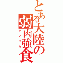 とある大陸の弱肉強食（アフリカ）