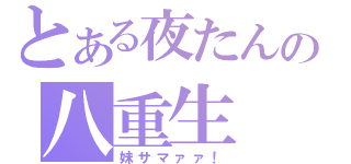 とある夜たんの八重生（妹サマァァ！）