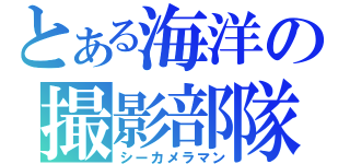 とある海洋の撮影部隊（シーカメラマン）