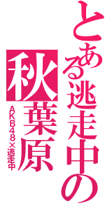 とある逃走中の秋葉原（ＡＫＢ４８×逃走中）