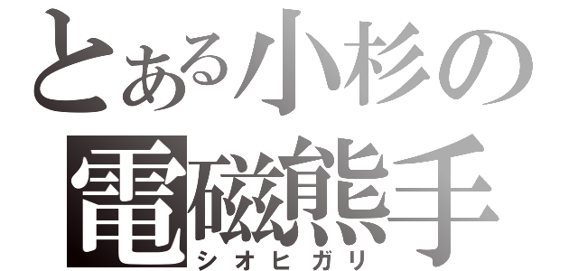 とある小杉の電磁熊手（シオヒガリ）