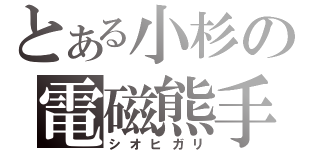 とある小杉の電磁熊手（シオヒガリ）