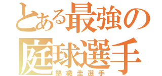 とある最強の庭球選手（錦織圭選手）